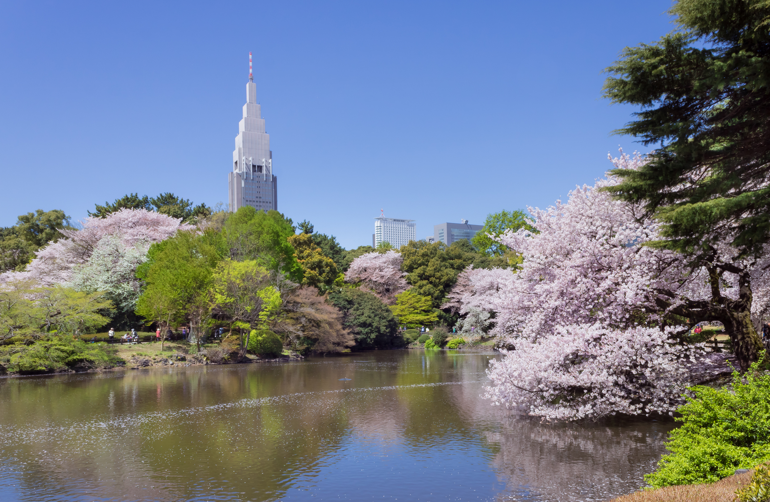 Shinjuku Gyoen: O Jardim do Imperador