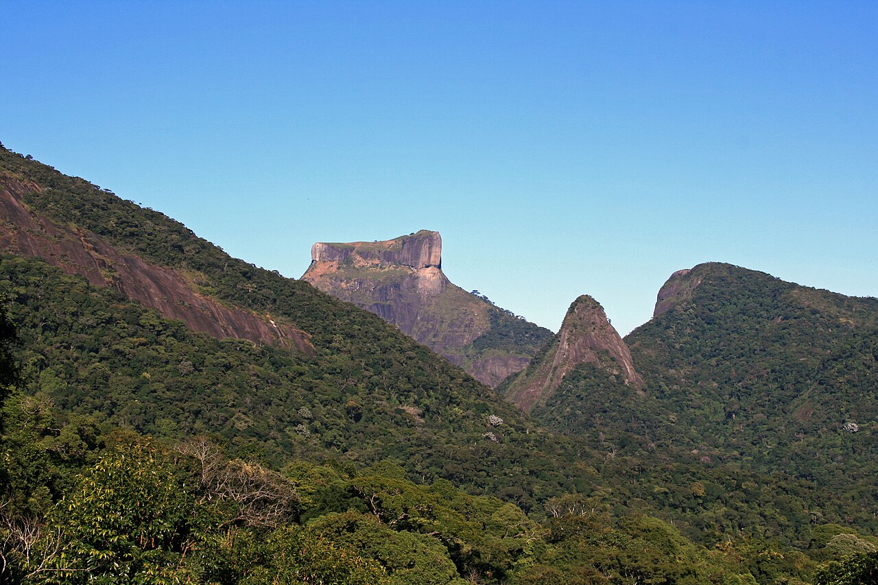 Parque Nacional da Tijuca: A Floresta Replantada