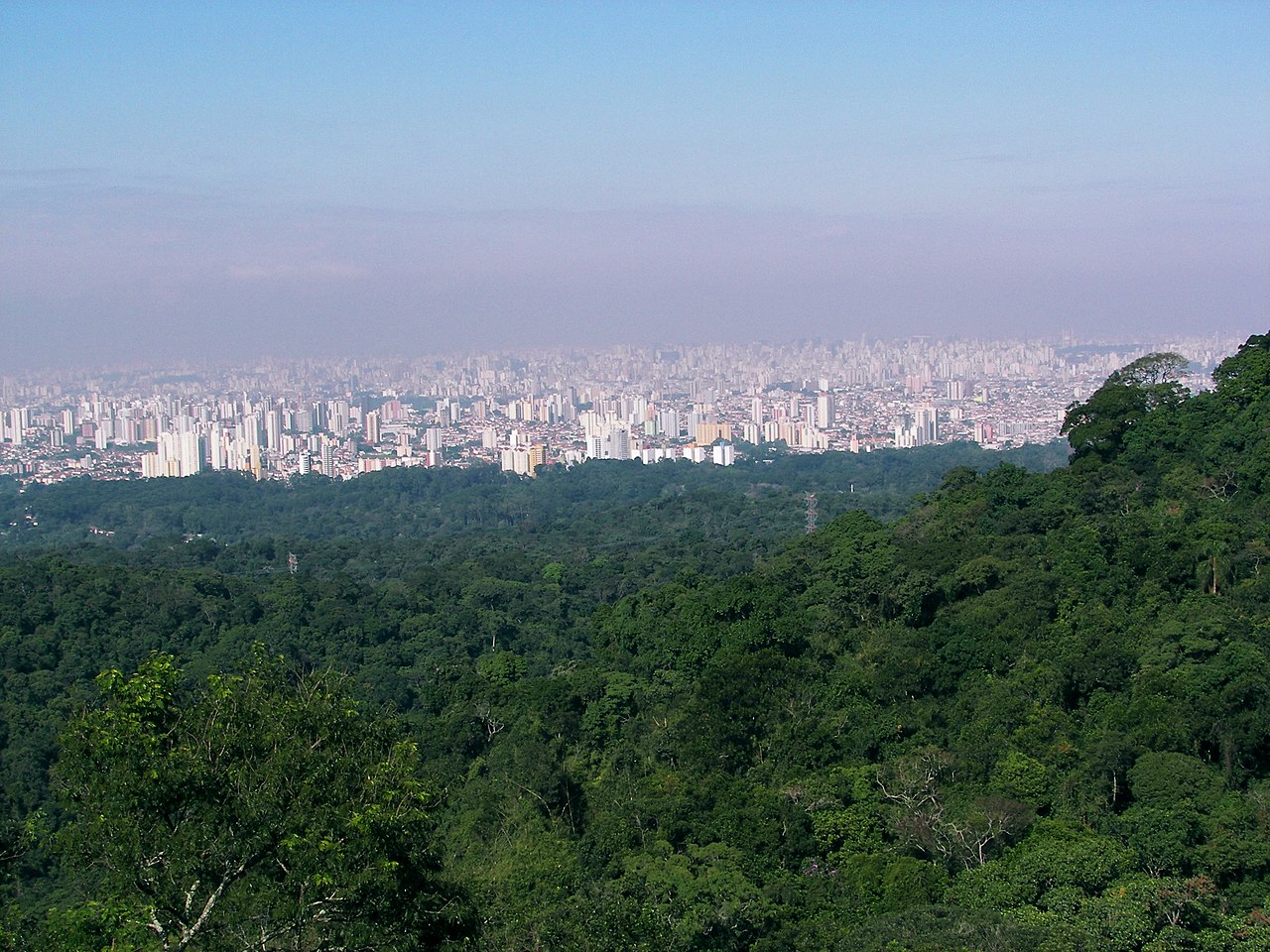Parque Estadual da Cantareira: A Floresta Urbana de São Paulo