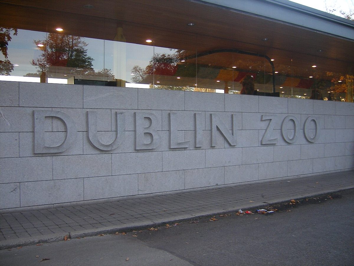 Dublin Zoo: The Roar Heard Around the World