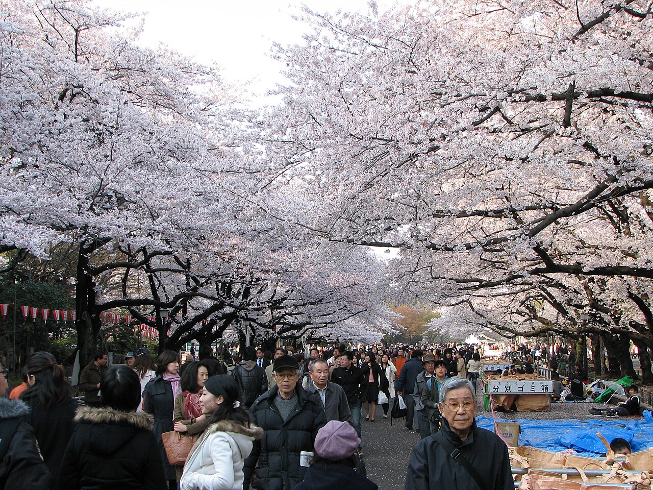 Parque Ueno: Da Batalha ao Museu
