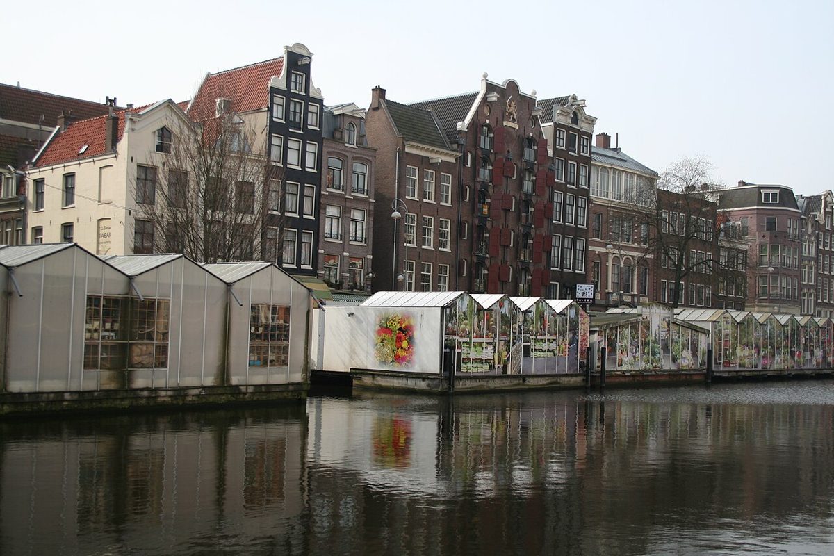 Bloemenmarkt: Tulips on the Water