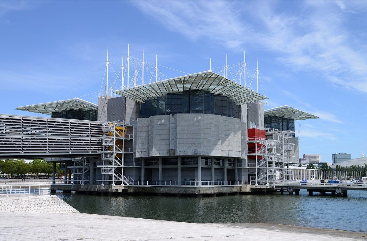 Oceanário de Lisboa: One Ocean Under One Roof
