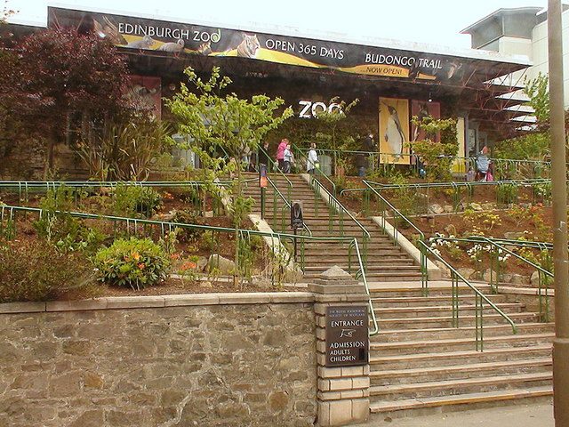 Edinburgh Zoo: The Hill of Unlikely Neighbours