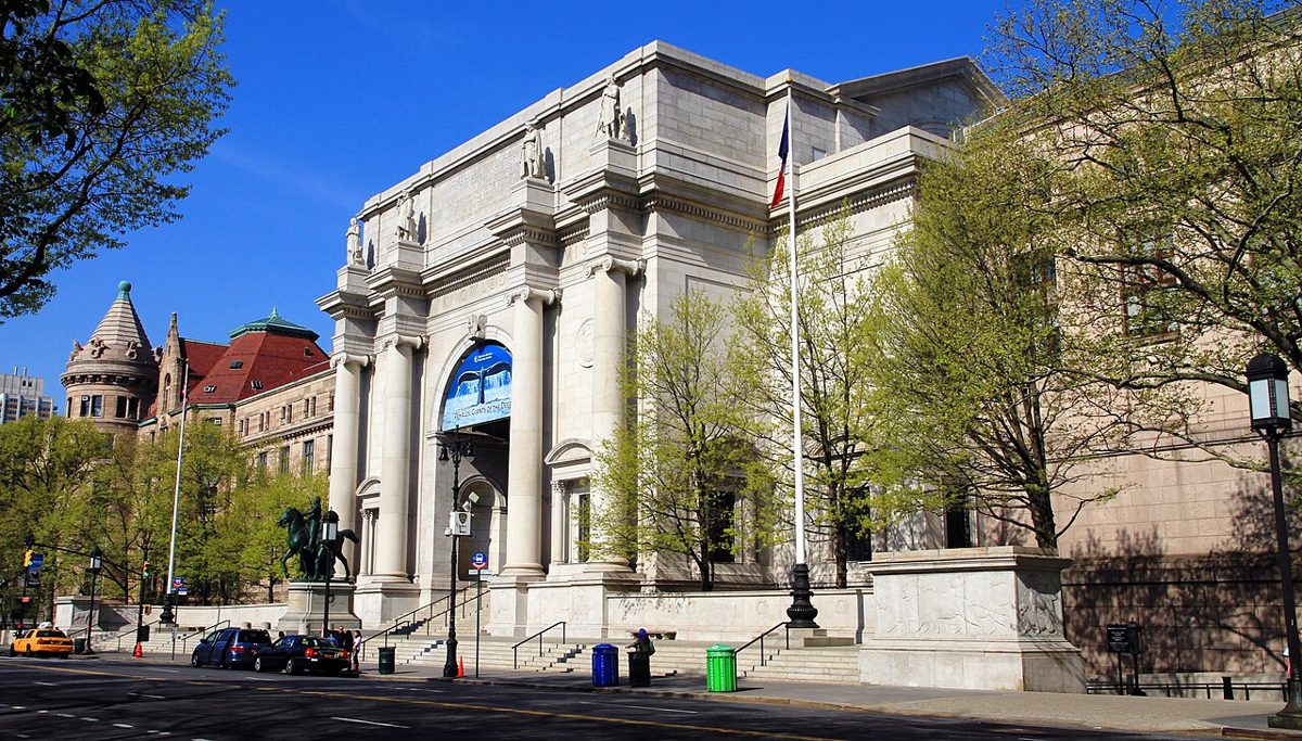 American Museum of Natural History: The World in a Box