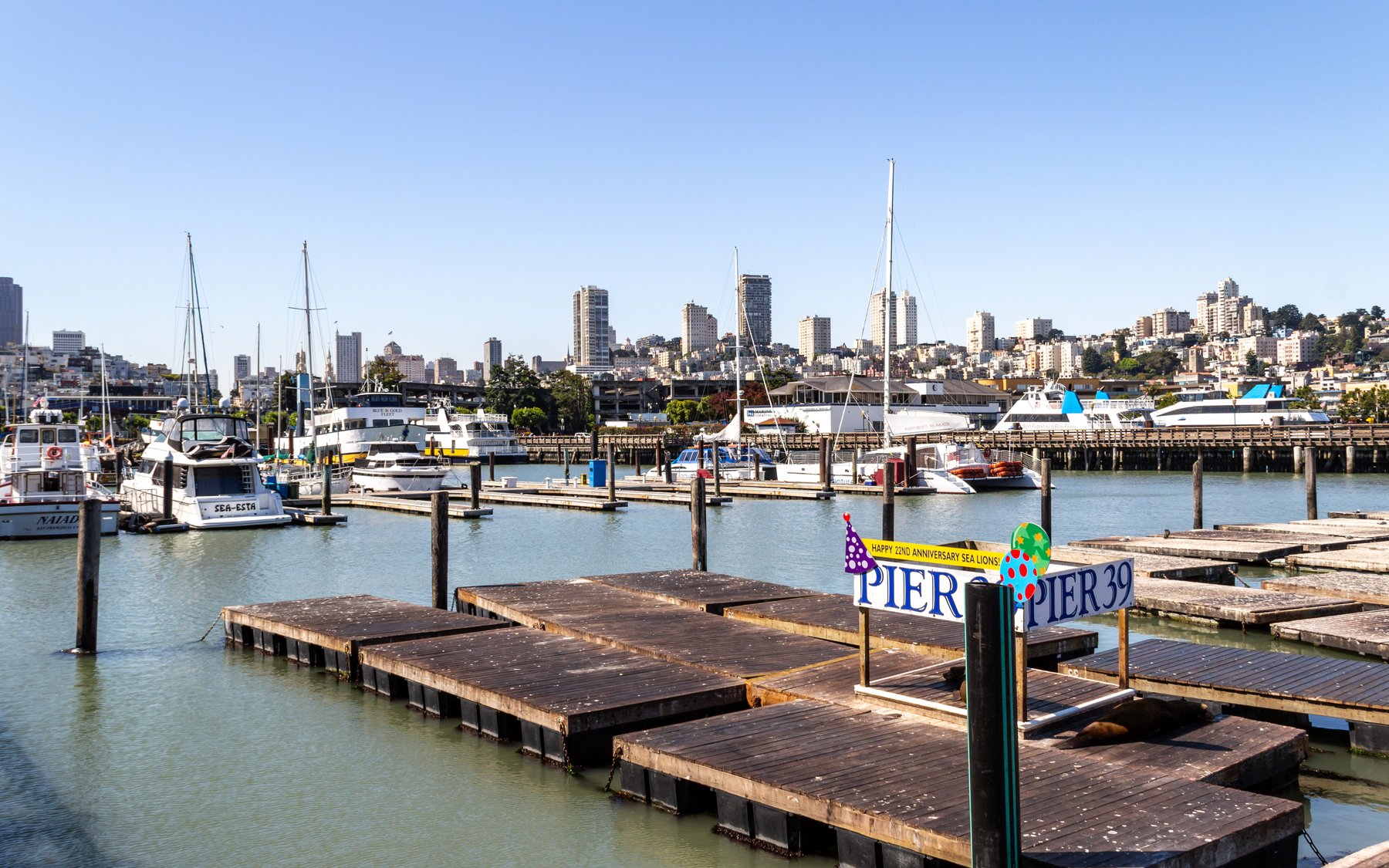 Fisherman's Wharf